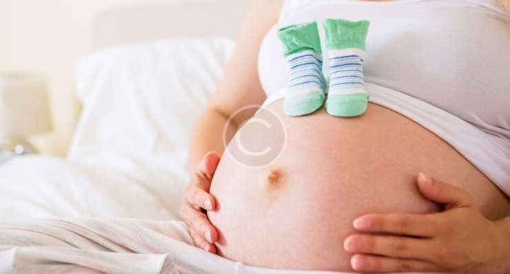 Inseminação Intrauterina